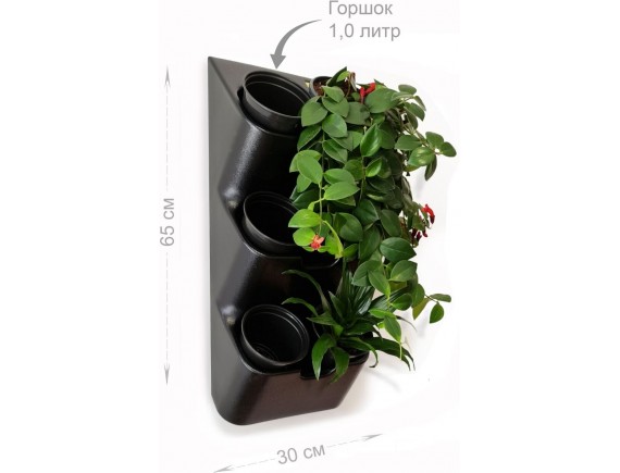 Фитомодуль (вертикальная грядка) BOXSAND 6 с круглыми горшками 1л. Вместимость 6 растений, ШхВхГ 30х65х14см, черный с черными горшками