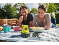 ONE + / Адаптер с аккумулятора 18В на USB RYOBI R18USB-0 (без батареи)