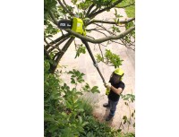 ONE + / Высоторез цепной RYOBI OPP1820 (без батареи)