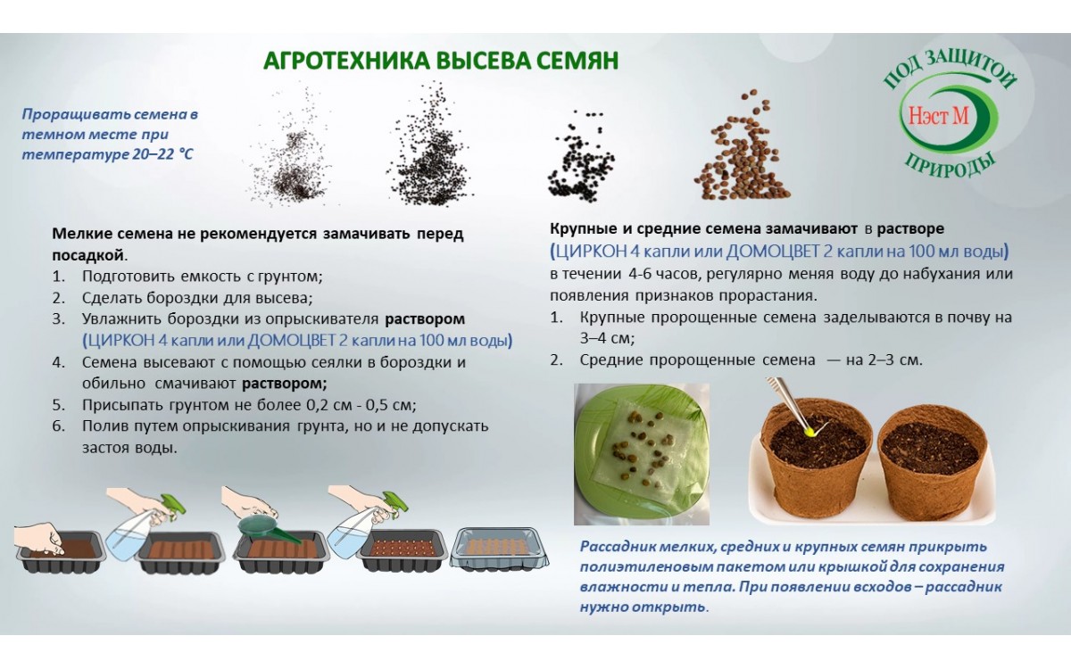 Агротехника высева семян