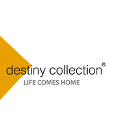 Destiny Destiny