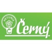 RNDr. Jan Cerny RNDr. Jan Cerny