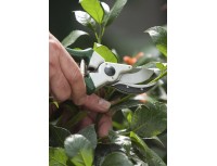 Секатор садовый усиленный Heavy Duty The Kew Gardens Spear & Jackson