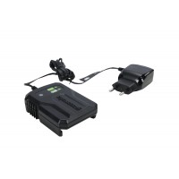 Зарядное устройство Greenworks 40V G40UCM2M 2A