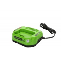 Зарядное устройство Greenworks 60V G60UC 2А