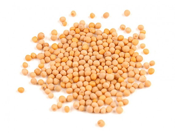 Горчица белая семена (сидераты), 1кг