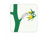 Кистедержатель Opti Flex Paskal для томата 6мм, прозрачный