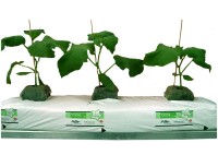 Брикеты прессованные из кокосового субстрата в матах Jiffy Growbag 100х20х10см
