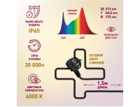 Фитопрожектор для растений светодиодный ЭРА FITO-50W-Ra90-LED для цветения и плодоношения полного спектра 50Вт