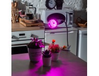 Фитолампа светодиодная для растений Uniel LED-A60-8W-SPSB-E27-CL PLP30GR