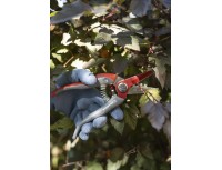 Секатор профессиональный садовый прямой TS-66B Chikamasa 