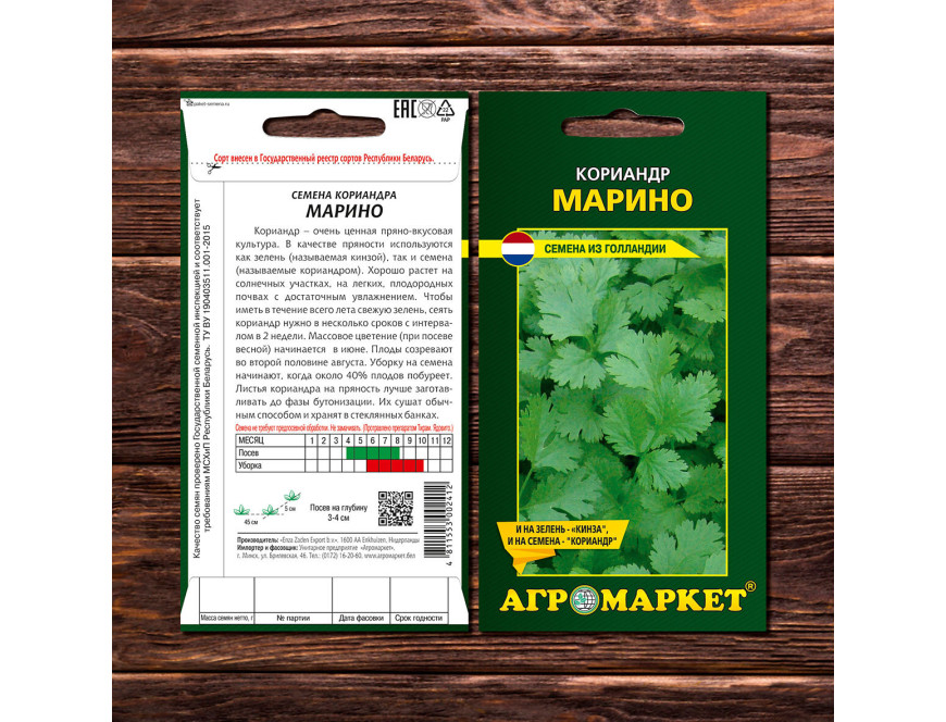 Кориандр посевной семена. Лекарственные растения семейства зонтичные. Петрушка,кашнич,кинза. Кашнуч кориандр. Кориандр посевной растения.