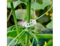 Клипса для огурца овальная Paskal 15мм