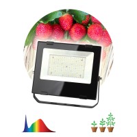 Фитопрожектор для растений светодиодный ЭРА FITO-100W-Ra90-LED для цветения и плодоношения полного спектра 100Вт