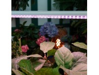 Светильник для растений светодиодный линейный Uniel ULI-P13-24W